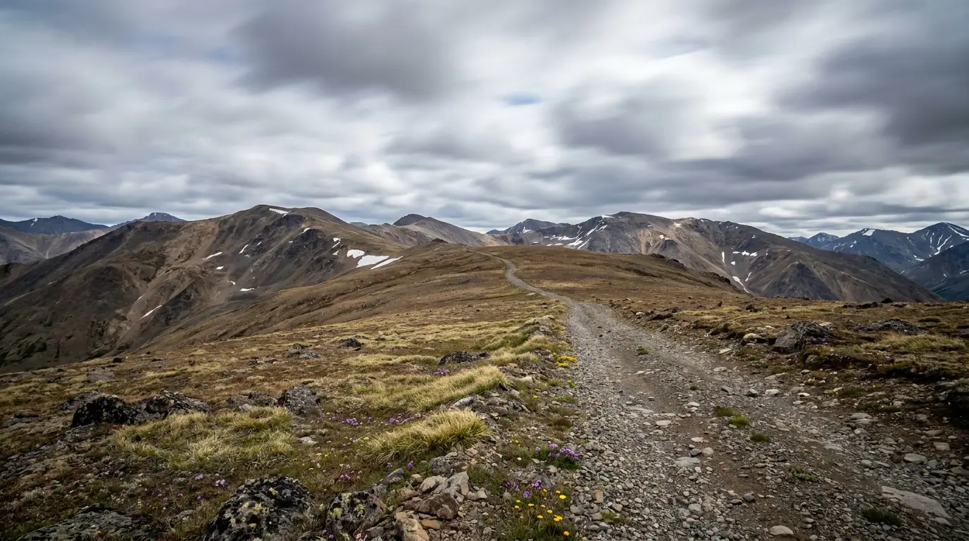 A high exposed alpine tundra pass with wind-flattened grasses and tiny wildflowers, rolling bare mountains stretching to the horizon under fast-moving clouds, a thin gravel road cutting across the barren ridge, Ogilvie Mountains Yukon, ultrarealistic photograph representative of the region