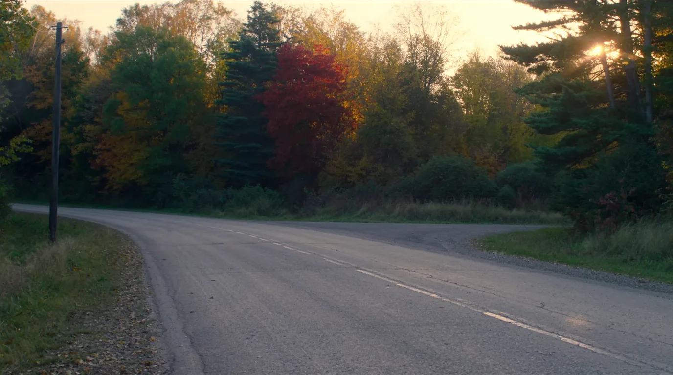 A two-lane county road running through a tunnel of hardwood forest in full autumn colour of gold and orange, no traffic, Michigan Upper Peninsula, ultrarealistic photograph representative of the region