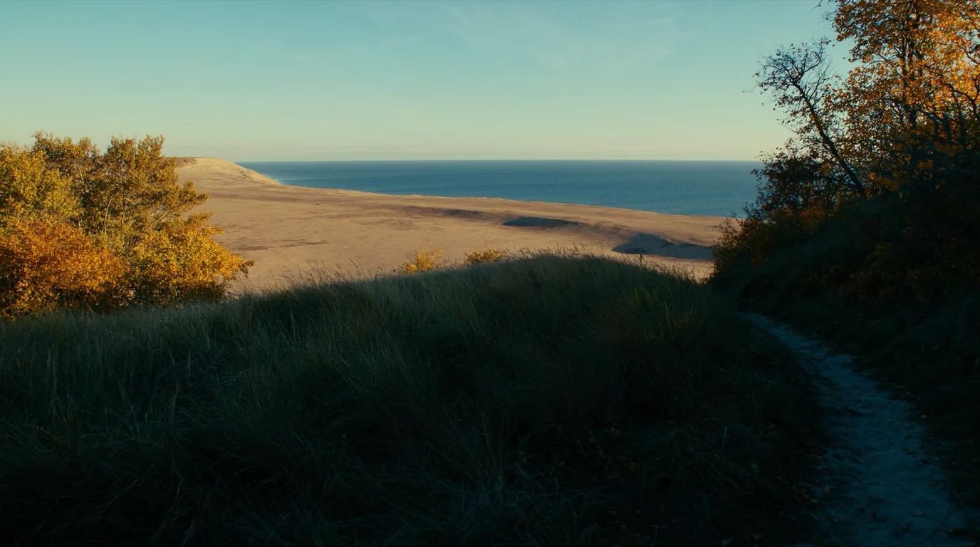 A forested bluff edge high above Lake Michigan looking out over distant pale dunes and deep blue water, beech and maple in the foreground, Sleeping Bear Dunes Michigan, ultrarealistic photograph representative of the region