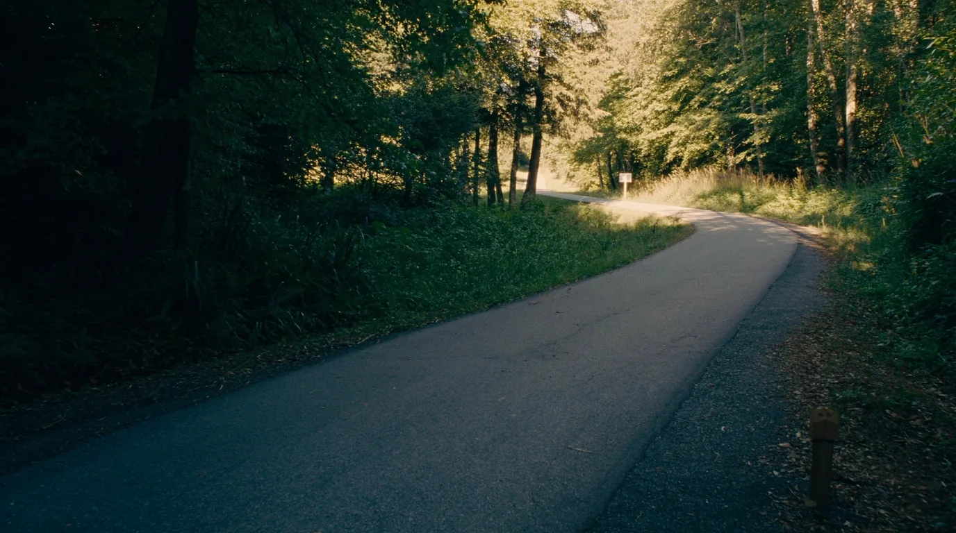 A smooth paved multi-use trail curving through mixed woods and low dune country with cyclists in the distance and dappled sunlight, northern Michigan, ultrarealistic photograph representative of the region