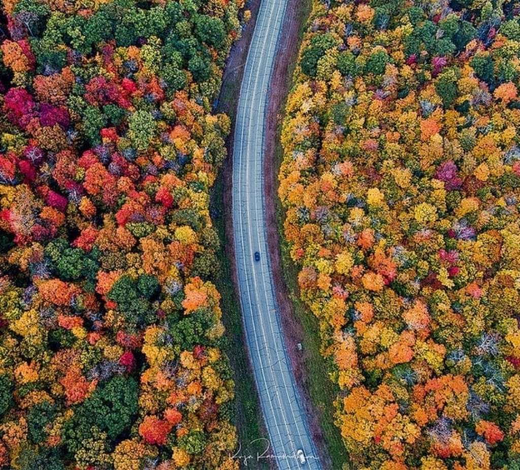 New England Fall